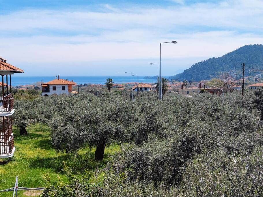 Вила Елена-Villa Elena 1 Skala Potamia  Luaran gambar