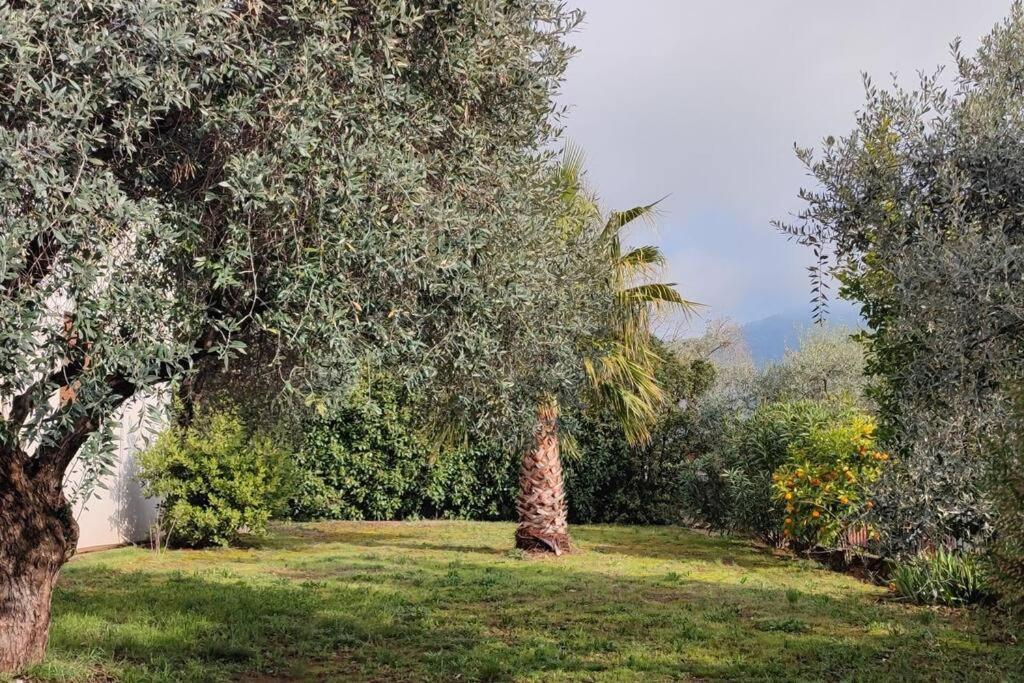 Вила Елена-Villa Elena 1 Skala Potamia  Luaran gambar