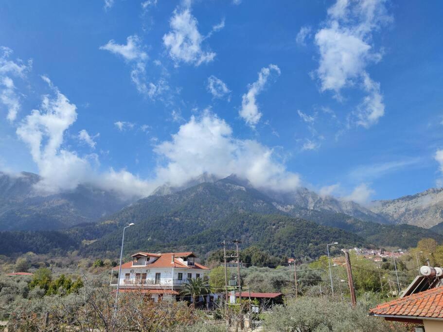 Вила Елена-Villa Elena 1 Skala Potamia  Luaran gambar